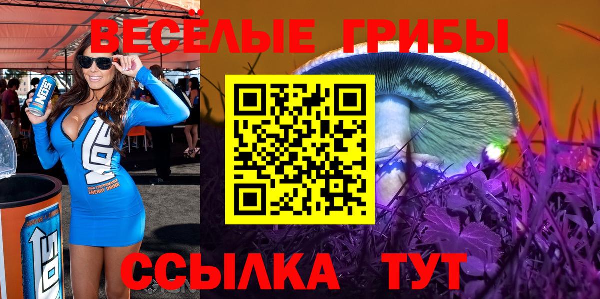 Псилоцибиновые грибы Psilocybine cubensis  Псилоцибиновые грибы мицелий  Вход с VPN  наркошоп  Чайковский 